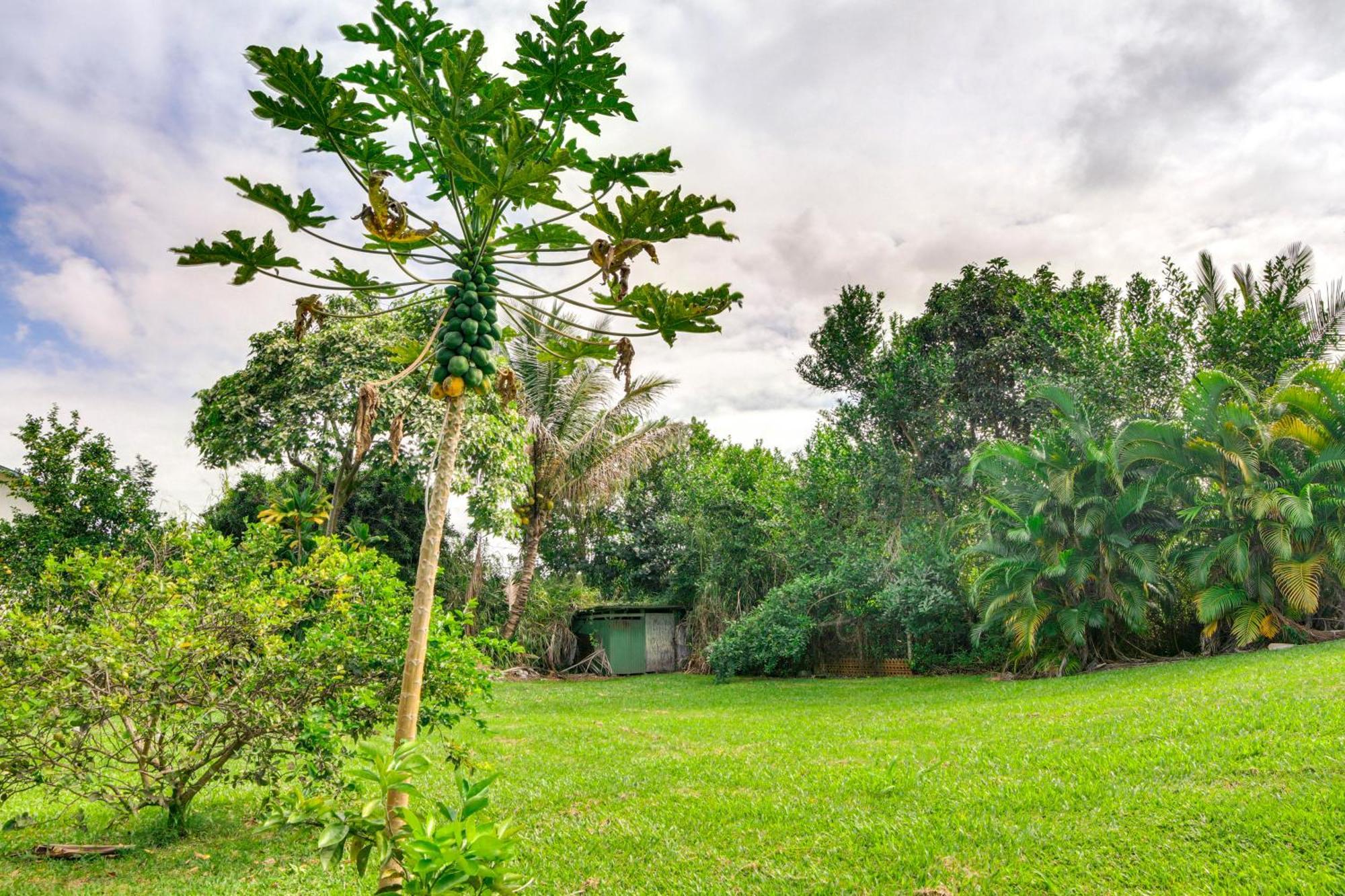 Charming Historic Hilo House Minutes To Beach! エクステリア 写真